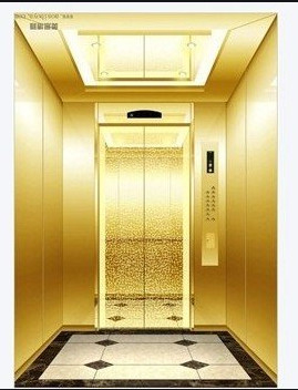 2.5m/s woon de Lift1000kg 13 Personen van de Passagierslift