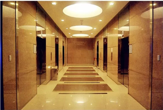VVVF-de Passagierslift van de Controle Automatische Deur met 1000mm*1000mm Cabinegrootte