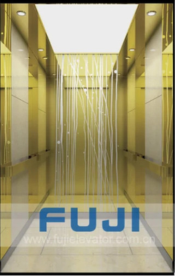 Hairline de Liftlift van het Roestvrij staalhuis