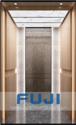 Hairline de Liftlift van het Roestvrij staalhuis