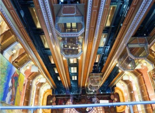 10 personen Panoramische Lift 800KG om Glaslift Woon