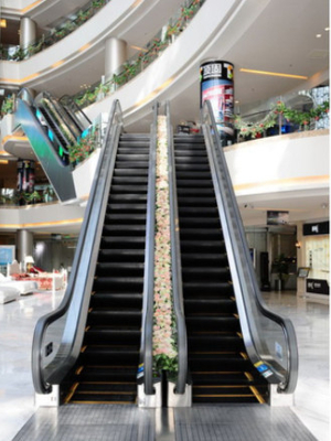 Metroroltrappen en Rollende trottoirs0.5m/s VVVF Aandrijving